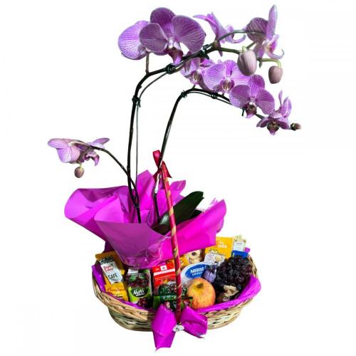 Cesta de Aniversário com Orquídea